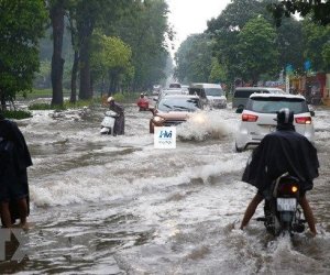 Hướng dẫn lái xe ô tô khi trời mưa lũ an toàn
